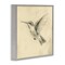 Stupell Industries Vintage Hummingbird Sketch Framed Giclee, design by Petal Prints Design
